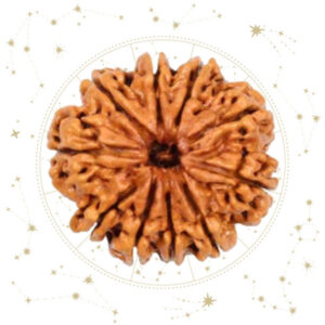 Nepali Dus(10) Mukhi Rudraksha