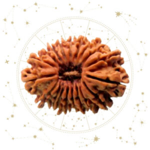 Nepali Satrah(17) Mukhi Rudraksha