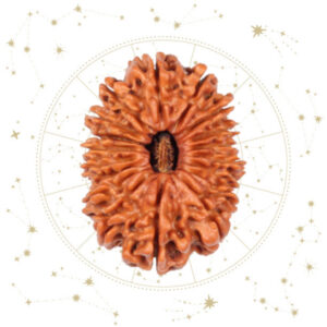 Nepali Atharah(18) Mukhi Rudraksha