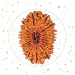 Nepali unnis(19) Mukhi Rudraksha