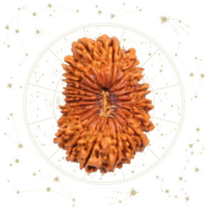 Nepali Bees(20) Mukhi Rudraksha