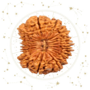 Nepali Eikees(21) Mukhi Rudraksha