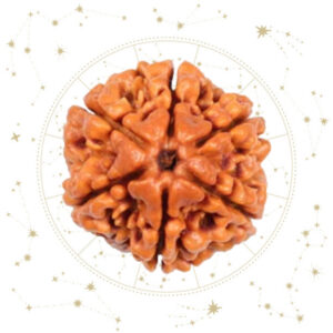 Nepali six(6)Mukhi Rudraksha